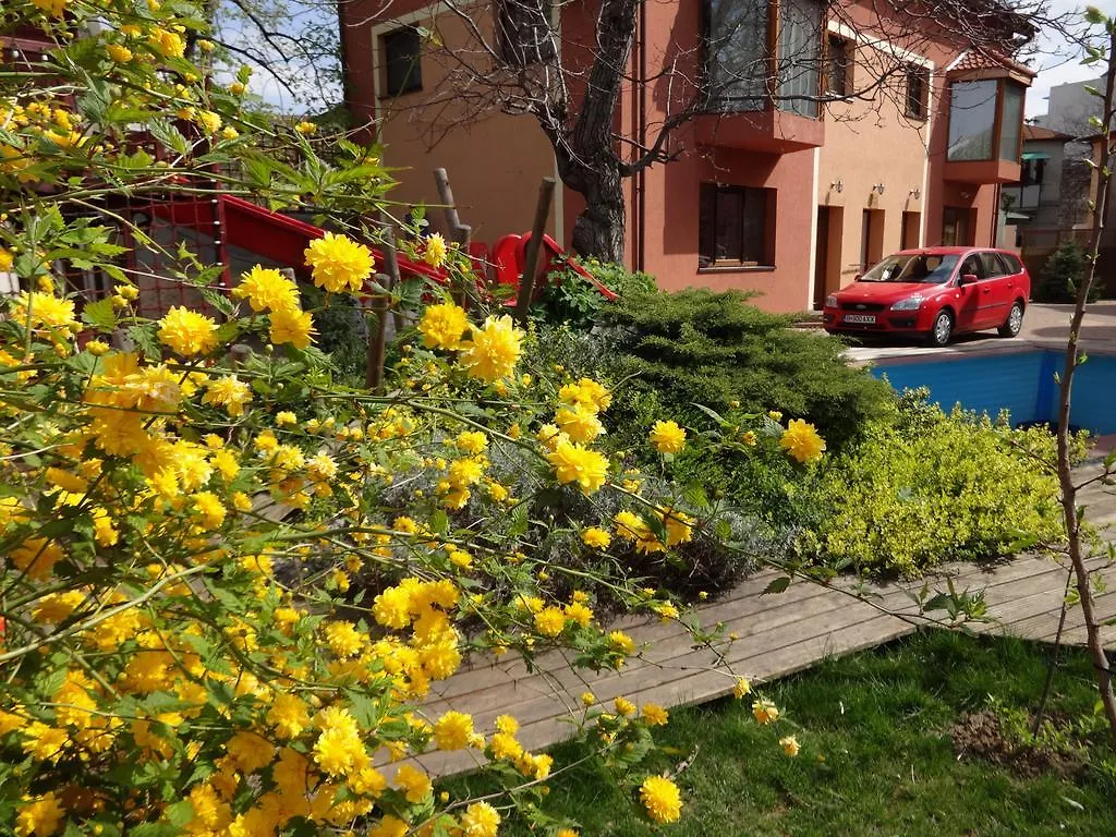 Pensionat Villa Zorba Bukarest